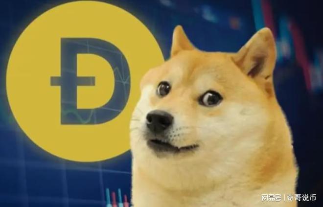狗狗幣今日行情概覽，最新價格走勢分析